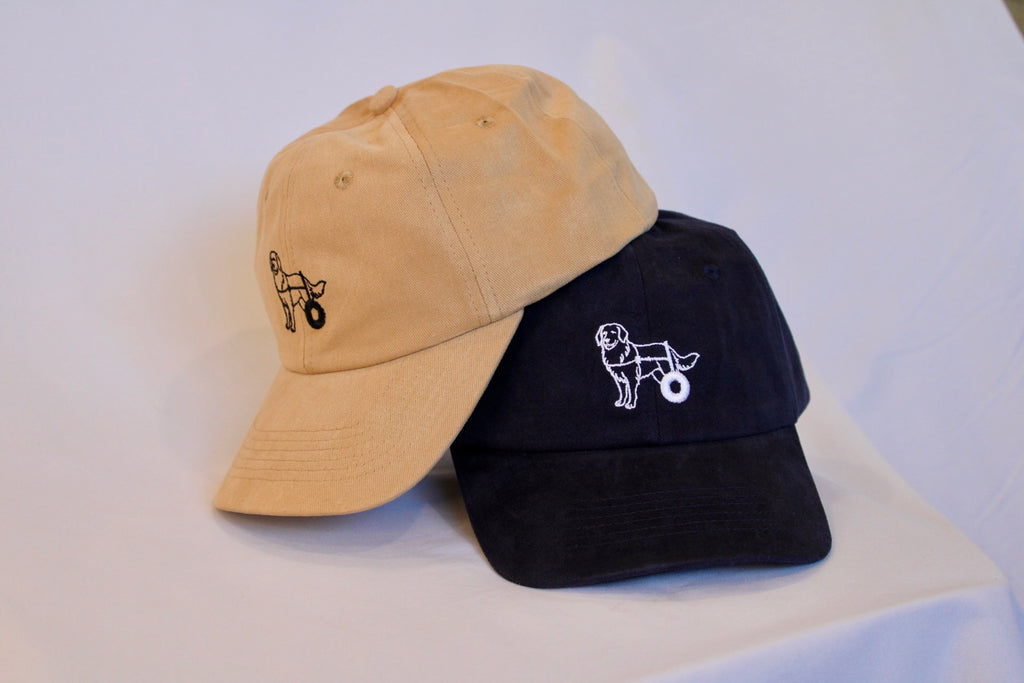 The Golden Retriever